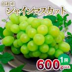 山形の大粒シャインマスカット 1房 600g以上