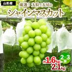 朝どりシャインマスカット 秀品 2房 約1.2kg