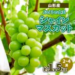 ぶどう3種セット 秀 約1.5kg