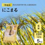 定期便12回 1等級米 にこまる 玄米 5kg×12回