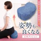 姿勢も良くなる正座クッション 正座 あぐら