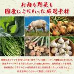 ふるさと納税 西予市 <愛媛のおいしい餃子セット2種セット 合計100個浅野食品>