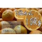 早川農園のぽんかん 10kg