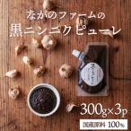 毎日の食卓に 簡単 便利 おいしい 黒ニンニクピューレ 300g…