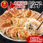 ふるさと納税 滝川市 【大容量】北海道産豚肉のぎょうざ 120個!冷凍餃子 ギョーザ 国産 焼餃子 点心 滝川市 冷凍食品
