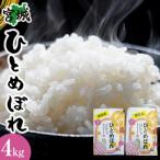 ショッピングふるさと納税 無洗米 ふるさと納税 角田市 【令和7年産】宮城県産ひとめぼれ【無洗米】　2kg×2袋