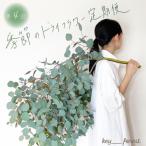 季節の草木花のスワッグ リース HO004