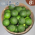 花柚子 黄玉 8パック