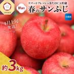 ショッピングふるさと納税 訳あり ふるさと納税 五所川原市 【2026年4月上旬発送】【訳あり】春のサンふじ りんご 約3kg スマフレ貯蔵またはCA貯蔵