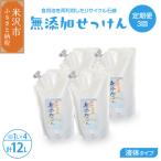 隔月 3回配送 無添加 液体せっけん 詰め替え用セット 4L×3回
