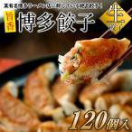 AB285. 博多餃子120個