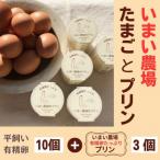 平飼い 有精卵 10個
