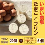 平飼い 有精卵 20個