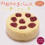 さくらんぼのミニチーズケーキ FY25-395