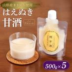 はえぬき甘酒500g×5 FY25-397