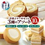 洋菓子ケーキセット 10個入