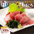 中トロ ミナミマグロ 一口サイズカット 刺身