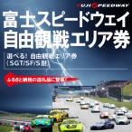 自由観戦エリア券 SGT SF S耐