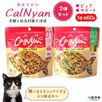 CalNyan カルニャン 2個>