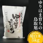 ゆりはま育ちの鳥取旭◇精白米5kg◇令和7年産