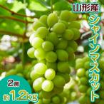 ふるさと納税 山形市 山形産 ぶどう シャインマスカット 【令和8年産先行予約】FS23-712