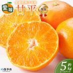 <秀品 甘平 L~3Lサイズ 約5kg>蜜柑