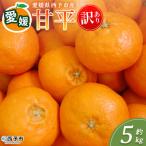 <訳あり 甘平 サイズ混合 約5kg>蜜柑