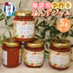 あんず 無添加 手作り ジャム 5本セット a10-1255