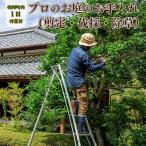 <庭のお手入れ 剪定 伐採 除草>