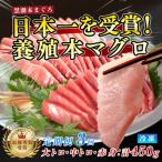 まぐろ マグロ 本鮪 黒潮本まぐろ 大トロ 中トロ