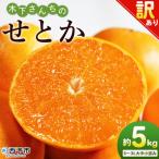 <木下さんちのせとか 訳あり 約5kg
