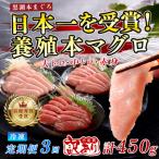 訳あり 不定貫 まぐろ マグロ 本鮪 黒潮本まぐろ