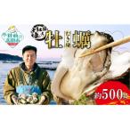 ふるさと納税 陸前高田市 三陸産 むき身牡蠣 約500g 加熱用 大和田家のかき カキ 濃厚 料理 冷蔵 ギフト 鍋