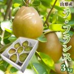 fu.... налог Yamagata город Yamagata. la* Франция превосходящий примерно 3kg(6~9 шар 3L~6L)[12 месяц отправка ]FS25-779