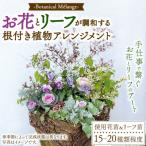 Botanical Mlange ~お花とリーフが調和する根付き植物アレ…