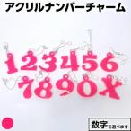 アクリルナンバーチャーム