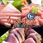 ふるさと納税 香南市 【6回定期便】〈月替わり〉かつお・まぐろ お楽しみセット かつおのたたき マグロ Wnz-0121