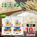 山形産 雪若丸 10kg