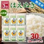 山形産 はえぬき 10kg