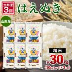 山形産 はえぬき 10kg