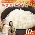 お米 米 コメ こめ 白米 単一原料米 ご飯 穀物 10キロ