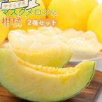 マスクメロン 柑橘 2種セット yr-0111