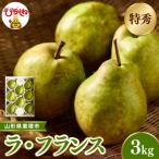 梨 2026年産 先行受付 産ラ フランス 約3kg
