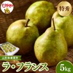梨 2026年産 先行受付 産ラ フランス 約5kg