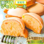 レモンケーキ 12個
