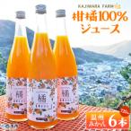 <柑橘100%ジュース 温州みかん6本