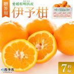 伊予柑 約7kg