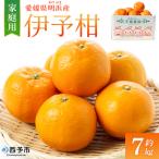 伊予柑 約7kg