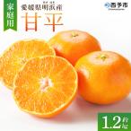 <甘平 約1.2kg