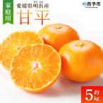 <甘平 約5kg